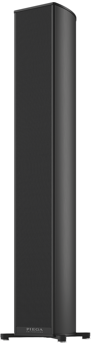 Peiga Premium Wireless 501 Floor Standing Loudspeaker