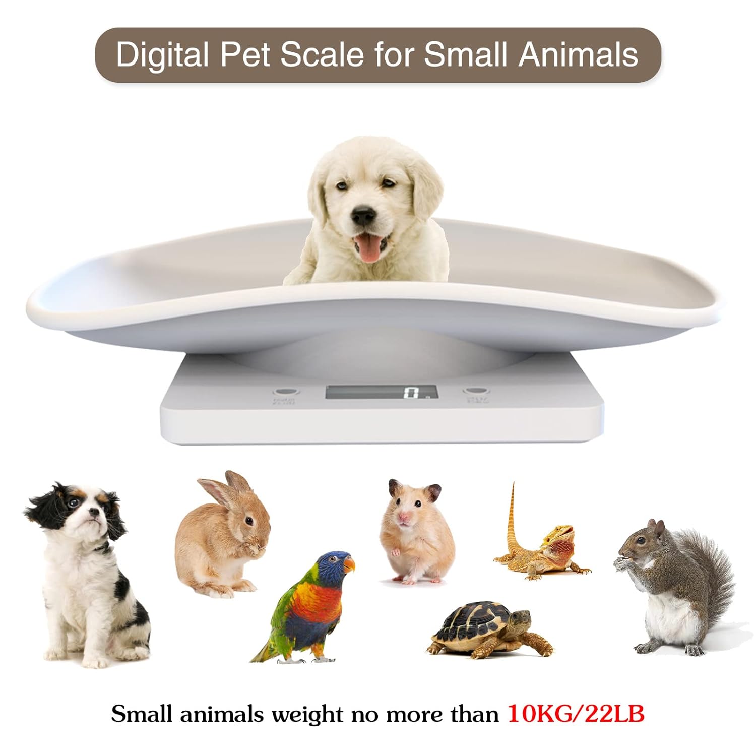 Digital Pet Scale