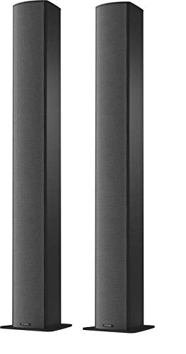 Piega Switzerland TMicro 60 AMT Premium Standing Two Speakers Black Anodized