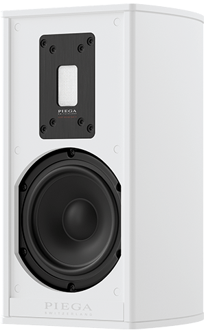 Peiga Premium Wireless 301 Compact Loudspeaker