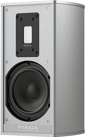 Peiga Premium Wireless 301 Compact Loudspeaker